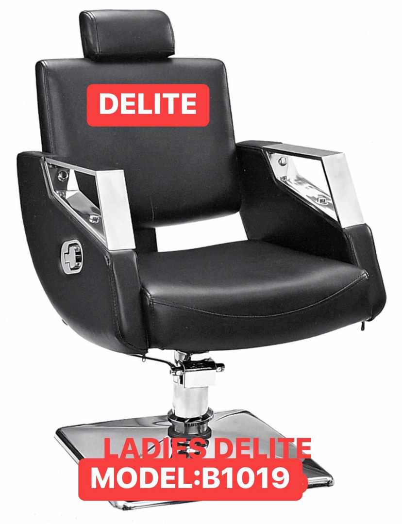 Delite Luxury All purpose Chair | Salon Barber Chair  Model: B1019